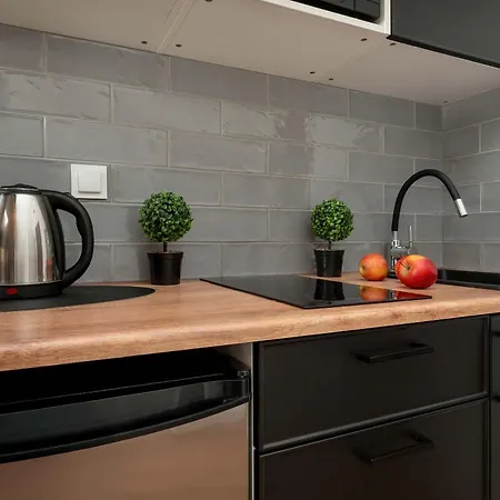 Modern Suitable For 2 People By Renters